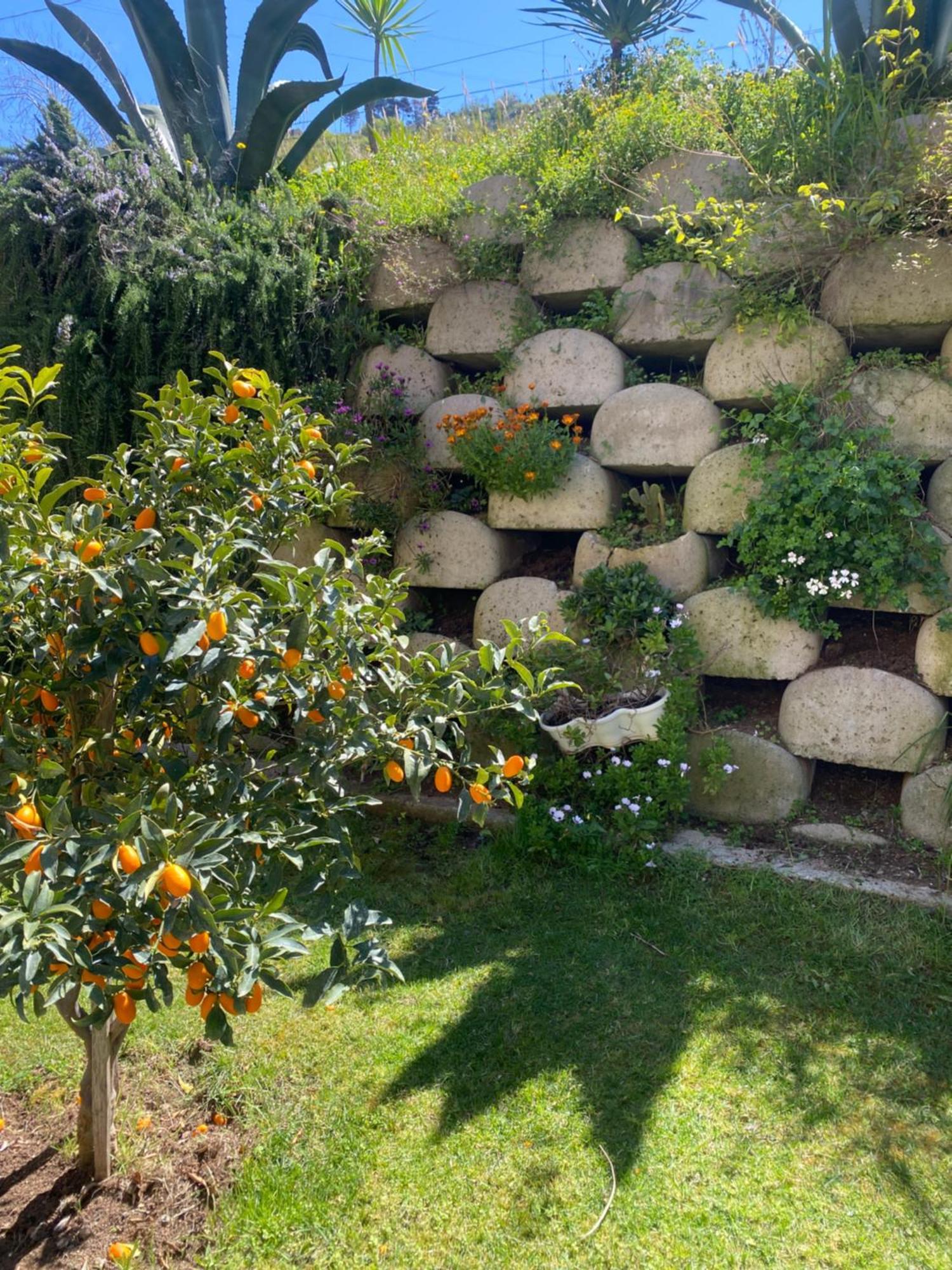特罗佩阿Residenza Roma住宿加早餐旅馆 外观 照片